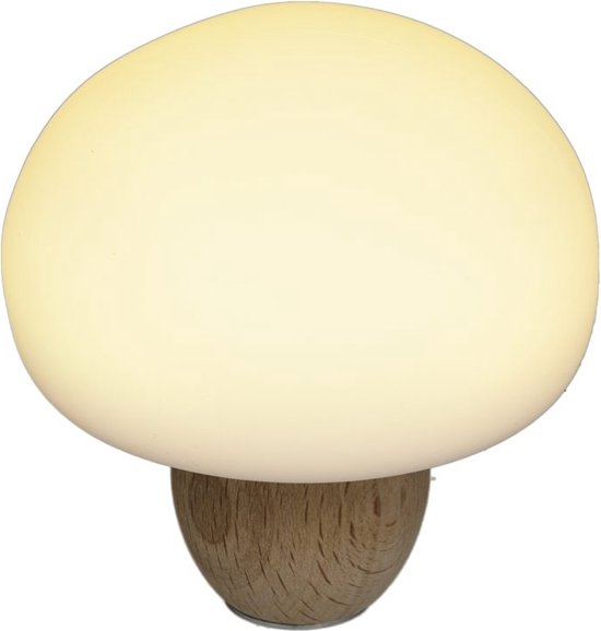 Nachtlampje Mini Paddenstoel – Usb Oplaadbaar – Dimbaar – H12cm