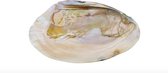 Naturalem - Parelmoeren schelp - Smudge schelp - Symbool van de onsterfelijkheid, van zuiverheid, liefde en geluk! - wordt gebruikt om er witte salie in te branden - aura of ruimte energetisch te reinigen - schelpschaal, zeepschaal, sieradenschaal