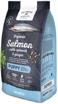 Go Native Grain Free Dog Puppy Salmon with Spinach & Ginger 800 gram - Hond