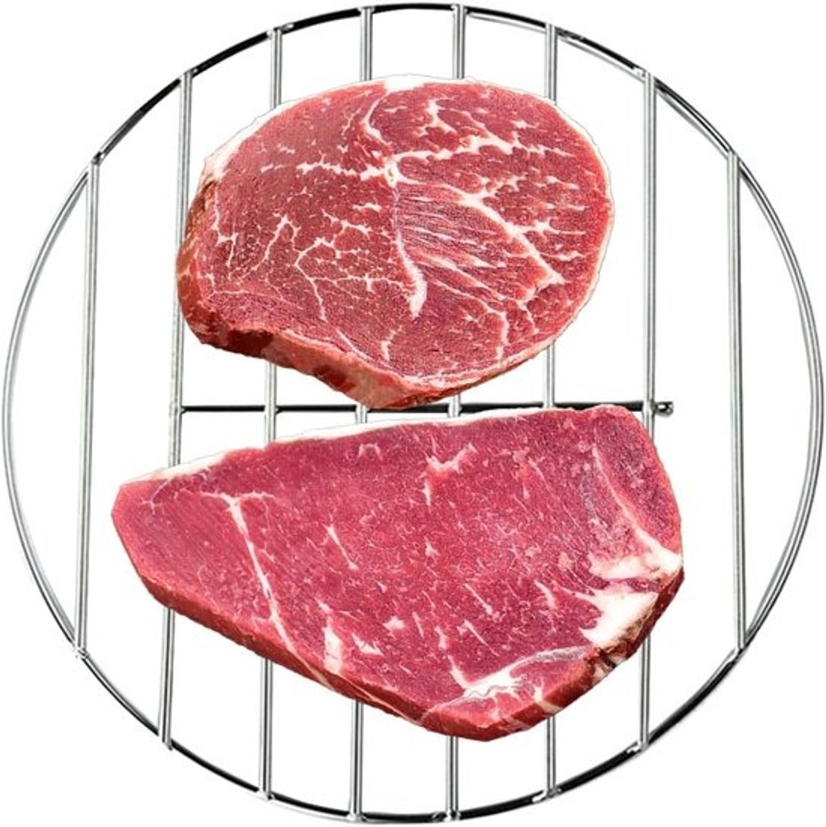 Grill Rooster - Ronde Bakrek - Buiten Koken - Roestvrij Staal - 48 cm - Zilver