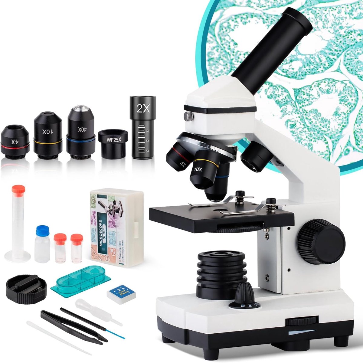Microscoop 40x Tot 1000x voor Kinderen, Studenten, Volwassen Krachtige Biologische Kinderen Microscoop Set voor School Laboratorium Thuis Biologisch Wetenschappelijk Onderzoek Onderwijs