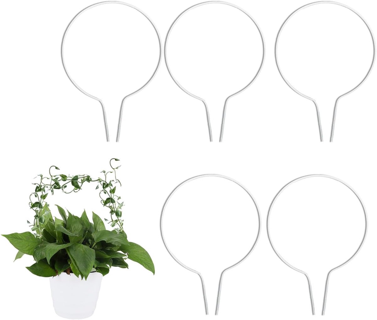 lasuroa 5 Stuks Ronde Acryl Klimrekken voor Klimplanten, Kleine Plantensteun Kamerplant Accessoires voor Buiten Binnen Klimop Monstera Hoya