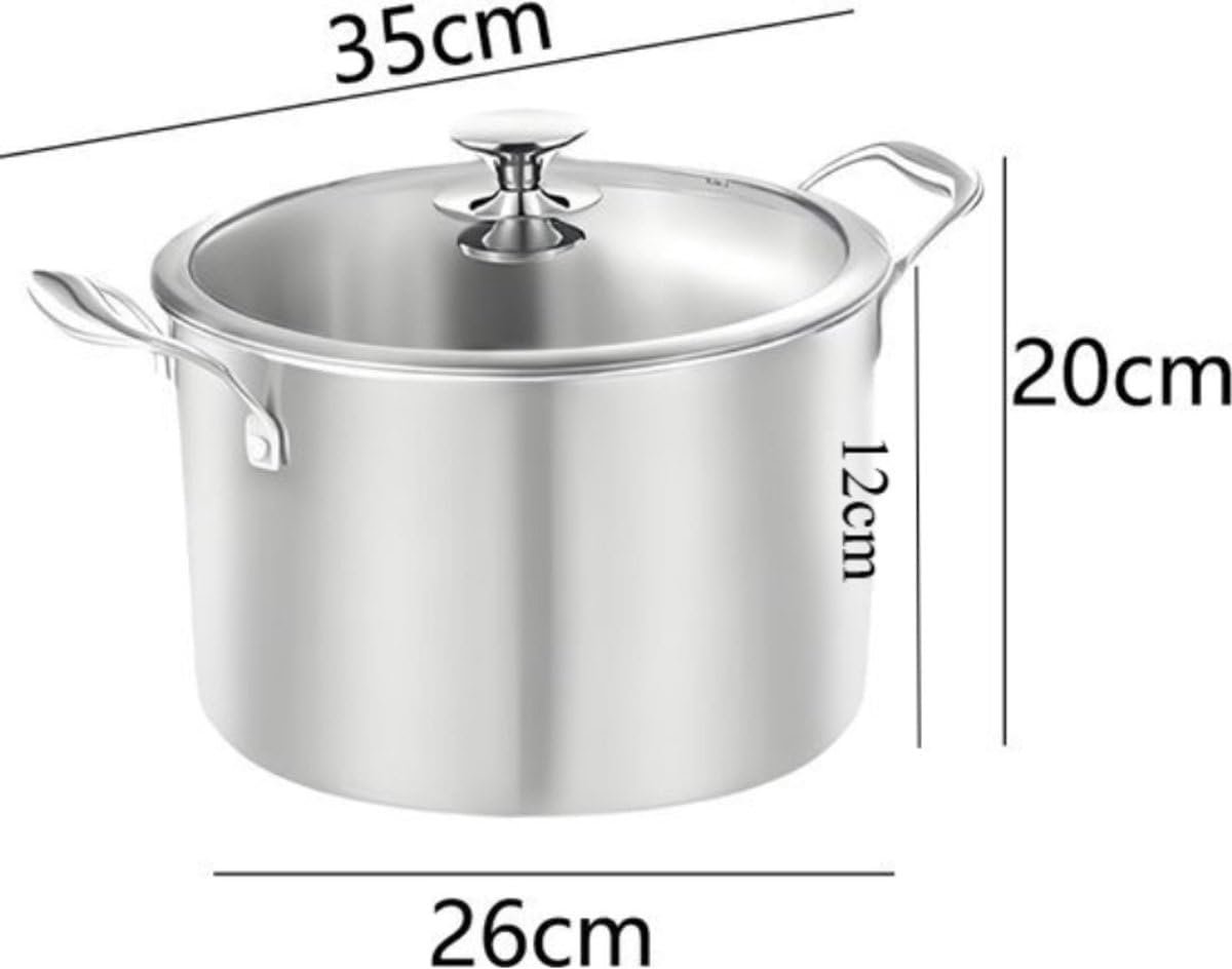 Inductiekookpan, Steelpan met Glazen Deksel, Zilver, 26cm, 6.4 liter