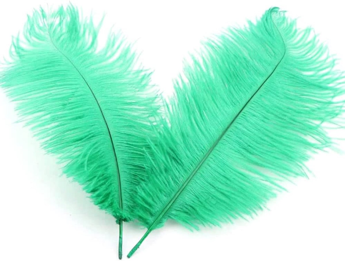 Veren, 10 stuks, 20 - 25 cm, om te knutselen, knutselveren voor doe-het-zelf dromenvanger-accessoires, woondecoratie, kostuums, tafeldecoratie, bruiloft, feest, hoed, kleding