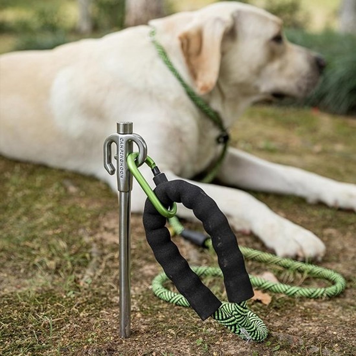 Hond Tie Out Stake 360° Draaibaar, Heavy Duty, Sterkste Anker Spike voor Kabel en Ketting, 30 cm