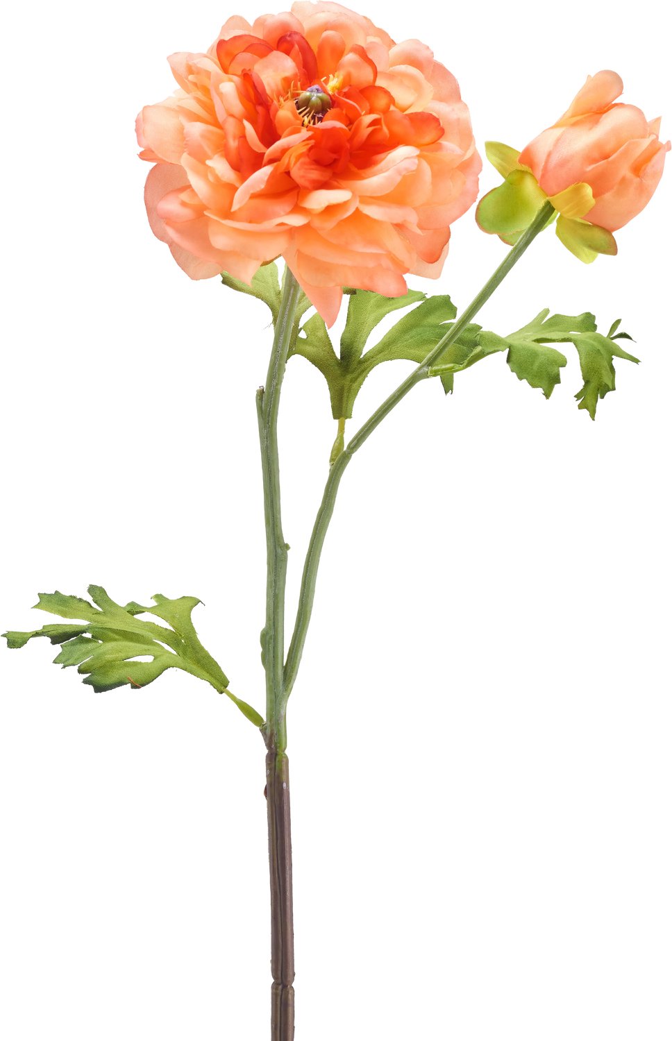 Easyplants | Kunstbloem Ranunculus 51 cm licht roze | Zijde | Nepbloemen | roze | Onderhoudsvrij | Kant-en-klaar