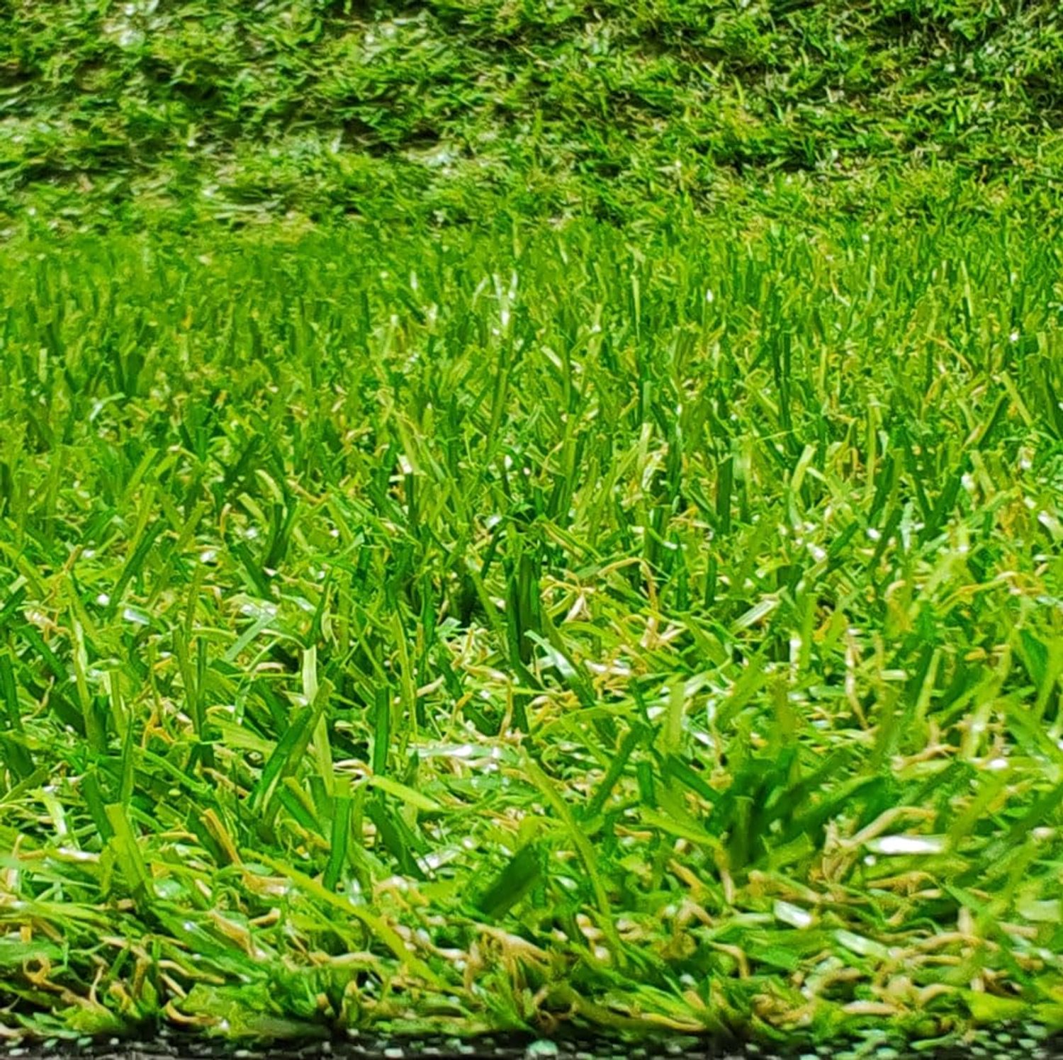 Kunstgras tapijt 100 x 100 cm - 20 mm hoogte - uv-bestendig - perfect voor terras of tuin - ShopVlot