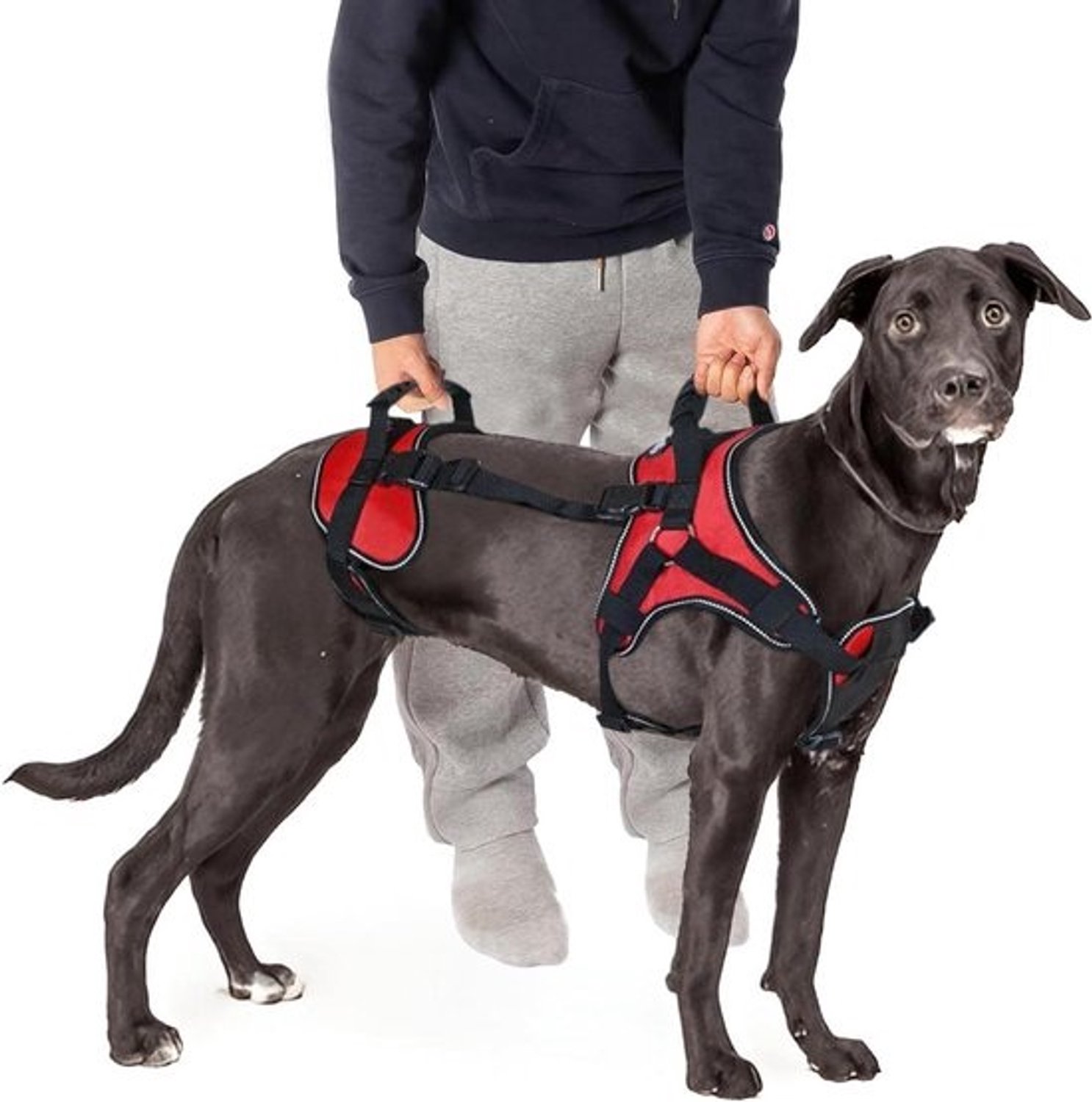 Hondentuig Lift Hulp - Hondenlift Vest - Hond Ondersteunen - Volledige Lichaamsondersteuning - Omtrek 66-84 cm - Rood