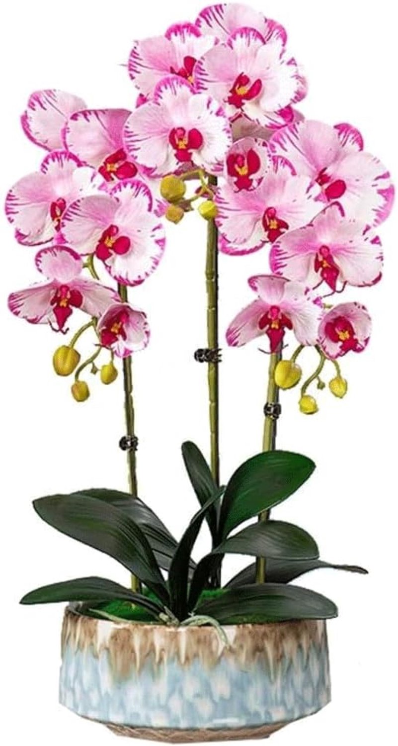 Butterfly Orchid Anti Real Flower Silk Flower Fake Flower Potted Plant Living Room Decoration Dining Table Flower - ShopVlot