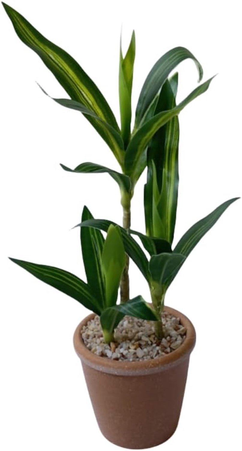 11.8 Inch Artificial Lucky Bamboo Plants Fake Green Artificial Bamboo Plant Potting For Home Office Indoor Centerpiece - ShopVlot