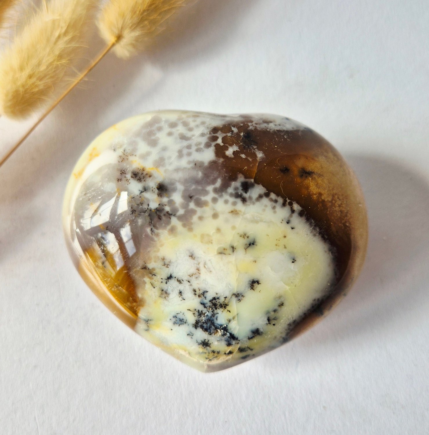 Moonlight Gemstones Edelsteen Dikke Ocean Jasper Hart 177 gram | Uniek & Kleurrijk Meerkleurig