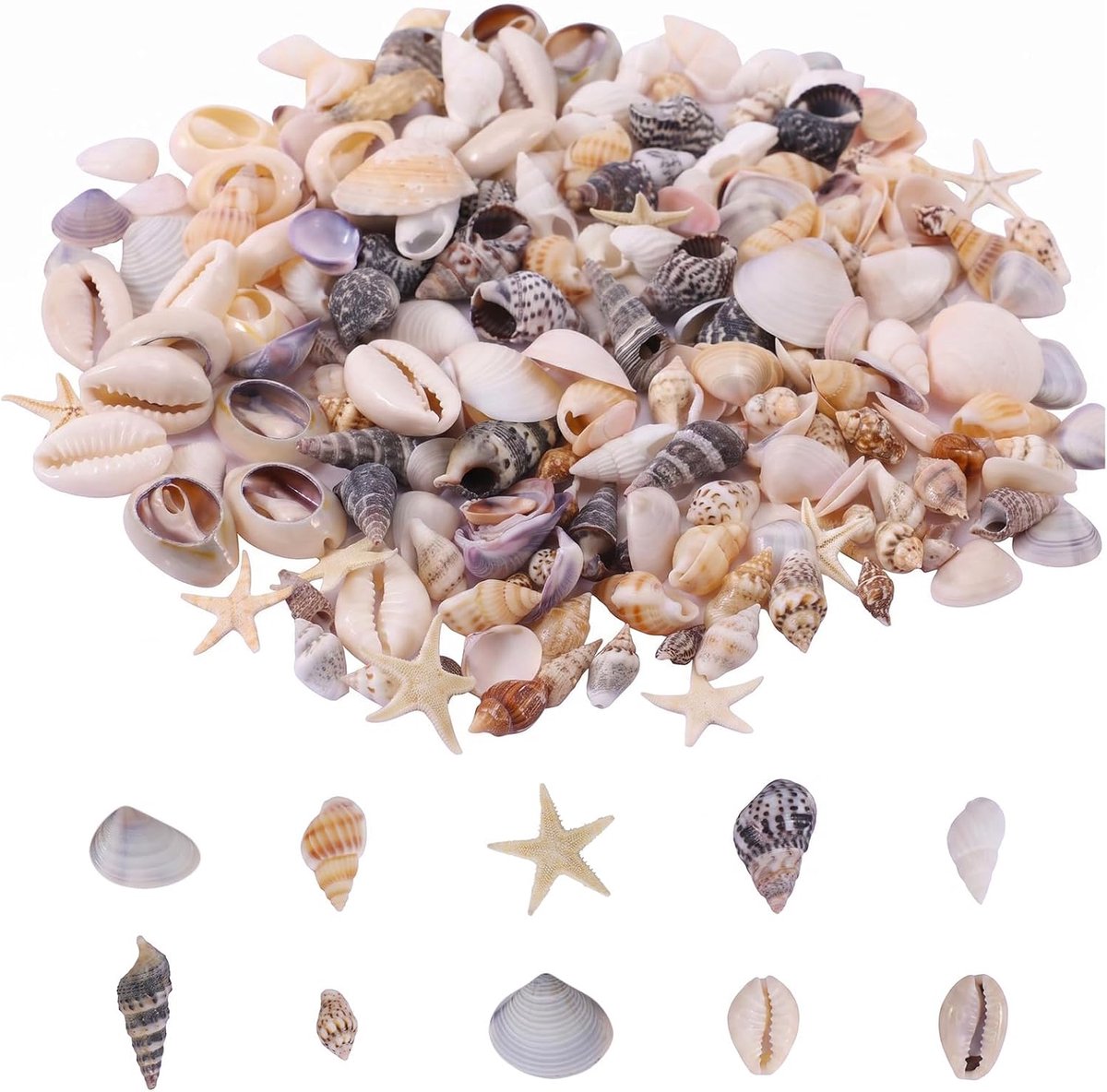 211 stuks schelpen om te knutselen, gemengde natuurlijke schelpen, niet geboord, schelpdecoratie voor vazen, aquarium, kaarsen, armbanden, bruiloften en creatief handwerk