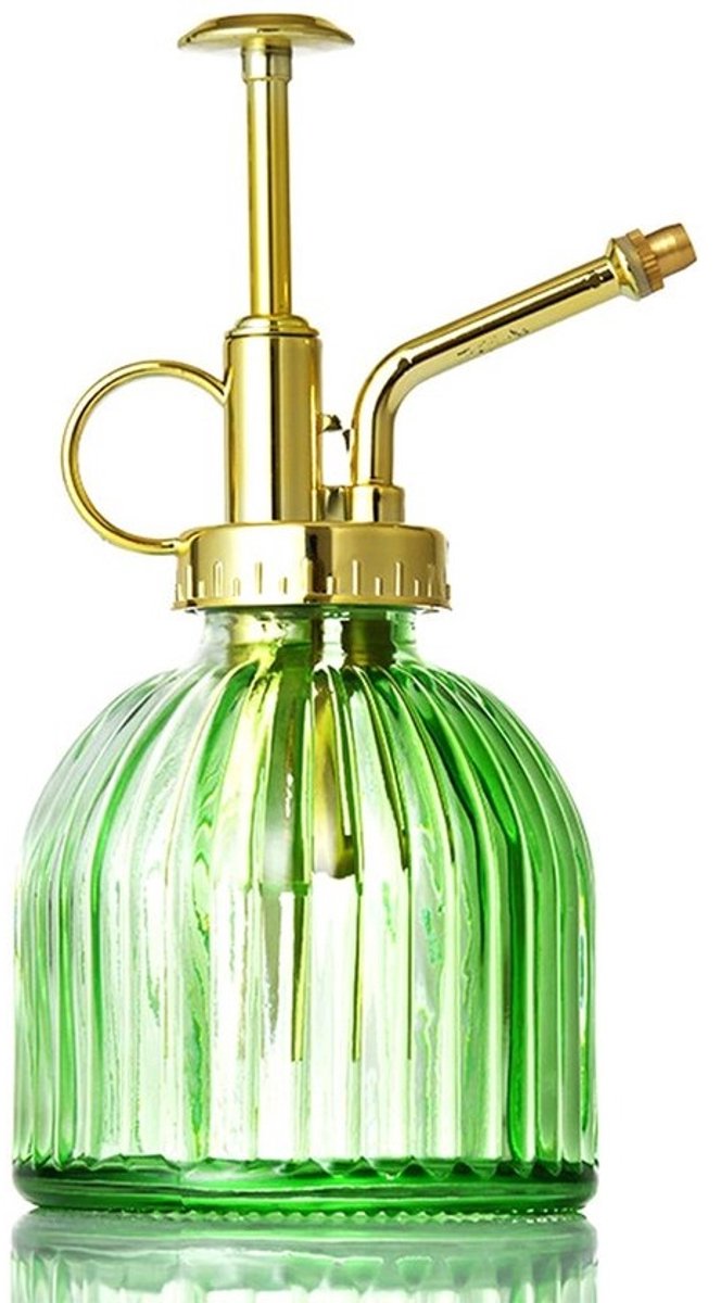 Dailygoods-plantenspuit - 200 ml - Glazen spuitfles - Antisliphandgreep - Decoratieve sproeier - Fijne waternevel - Ideaal voor kamerplanten