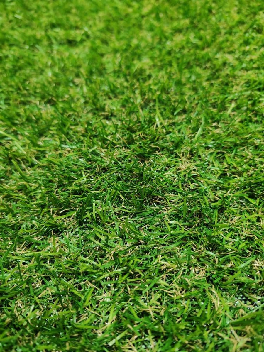 Kunstgras, tapijt voor terras of tuin, 20 mm hoogte, 70 x 200 cm