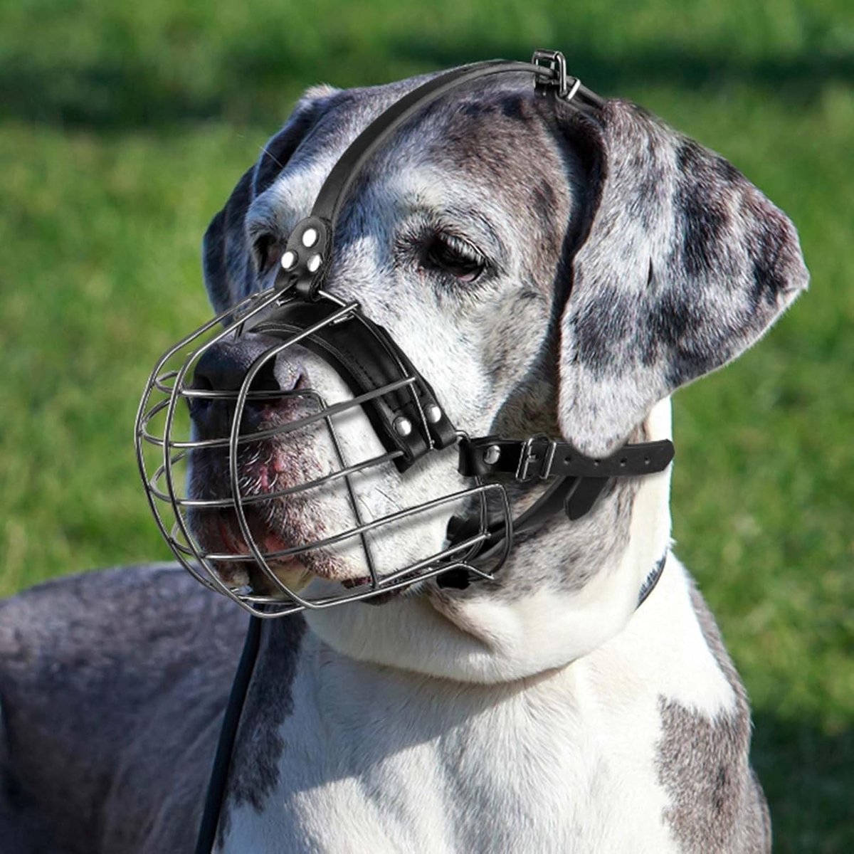 Hondenmuilkorf van metaal met leren banden voor grote honden zoals Pit Bull, Rottweiler en Doberman - Ademend, verstelbaar en veilig ontwerp