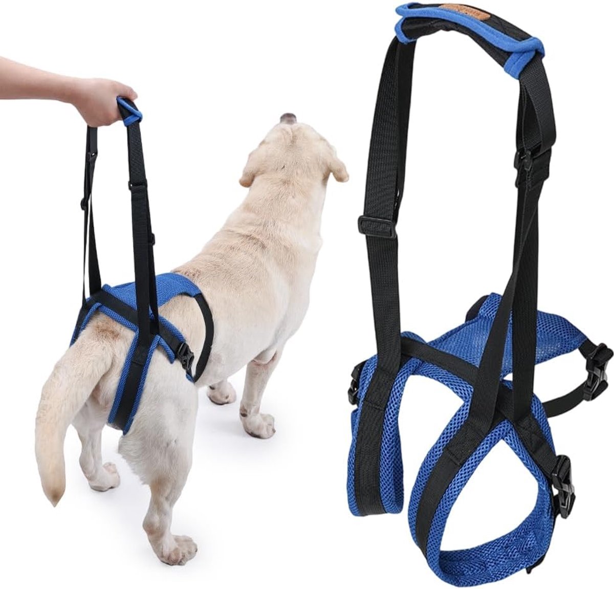 Hond met handvat, traphulp voor honden, hond achterpoten instelbaar, ondersteuning harnas voor ouderen, gehandicapten, lammende honden (M)