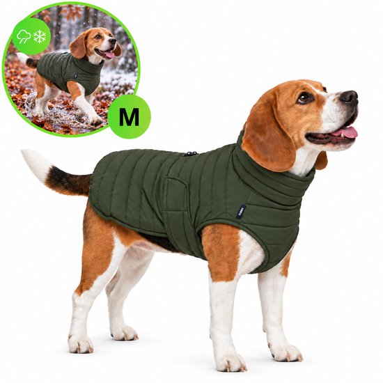 Een beagle hond staat op een witte achtergrond en draagt een olijfgroene, gewatteerde jas van maat M. In het kleine cirkelvormige kader linksboven, de hond in de sneeuw.