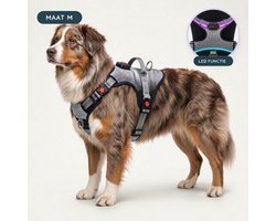 Premium Pets Hondentuig - Y Tuig hond - Harnas Hond - Anti Trek Tuig Hond - Lichtgevend - Led Licht - Reflecterend - M