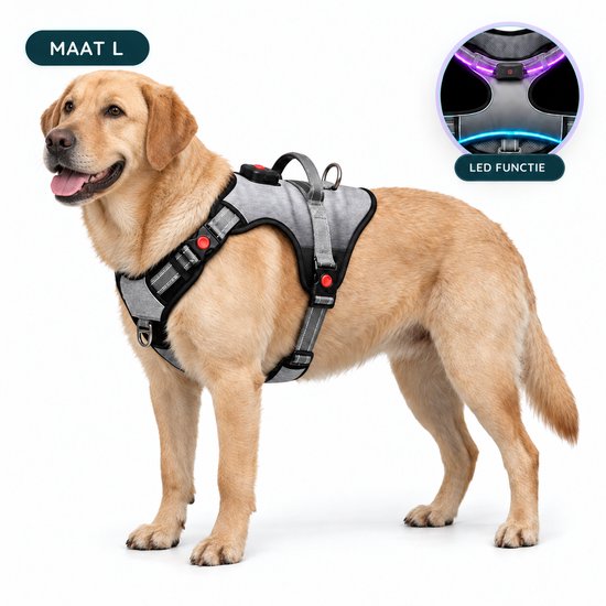 Lichtgrijs hondentuig maat L, met rode gespen en reflecterende details, inzet toont LED-functie.