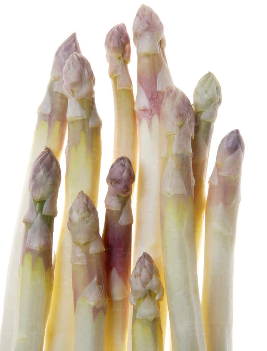 4x Groente en fruit 'Asparagus roem van washington' - BULBi® Bloembollen met bloeigarantie