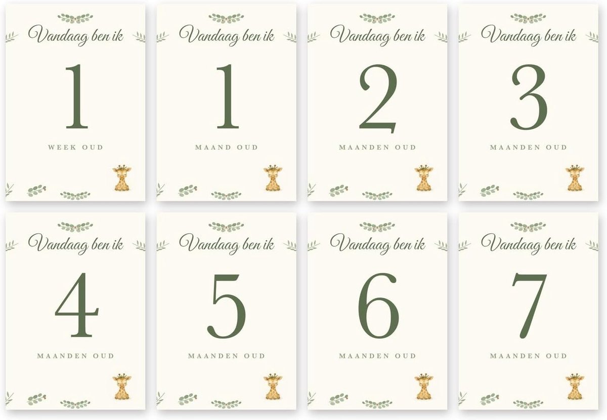 Kaarten baby jungle giraf 24 mijlpaalkaarten | A5