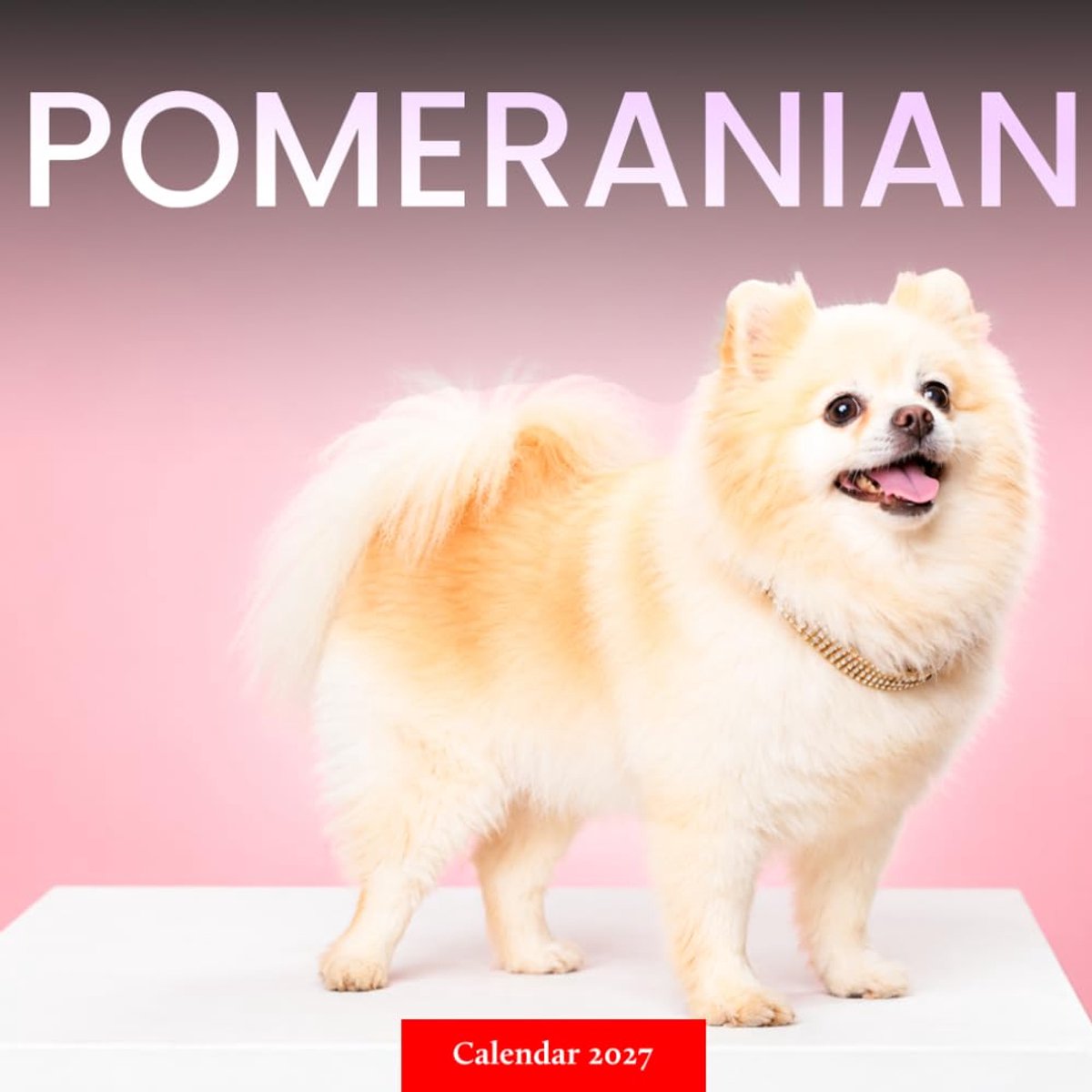 Pomeranian Calendar 2027: Small Dog Photography - ShopVlot
