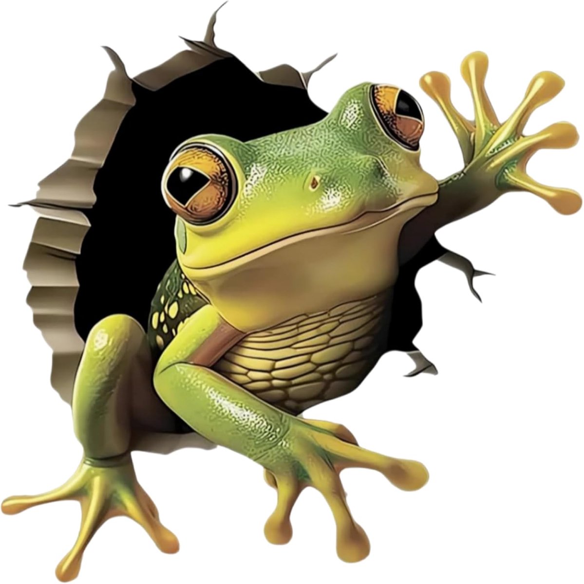 Frog autostickers, waterdicht 14 cm (5,5 inch) 2 stuks glanzende duurzame autostickers en bumperstickers voor voertuigen voor auto's, SUV's, motorfietsen, laptops, helmen, koffers, muren en