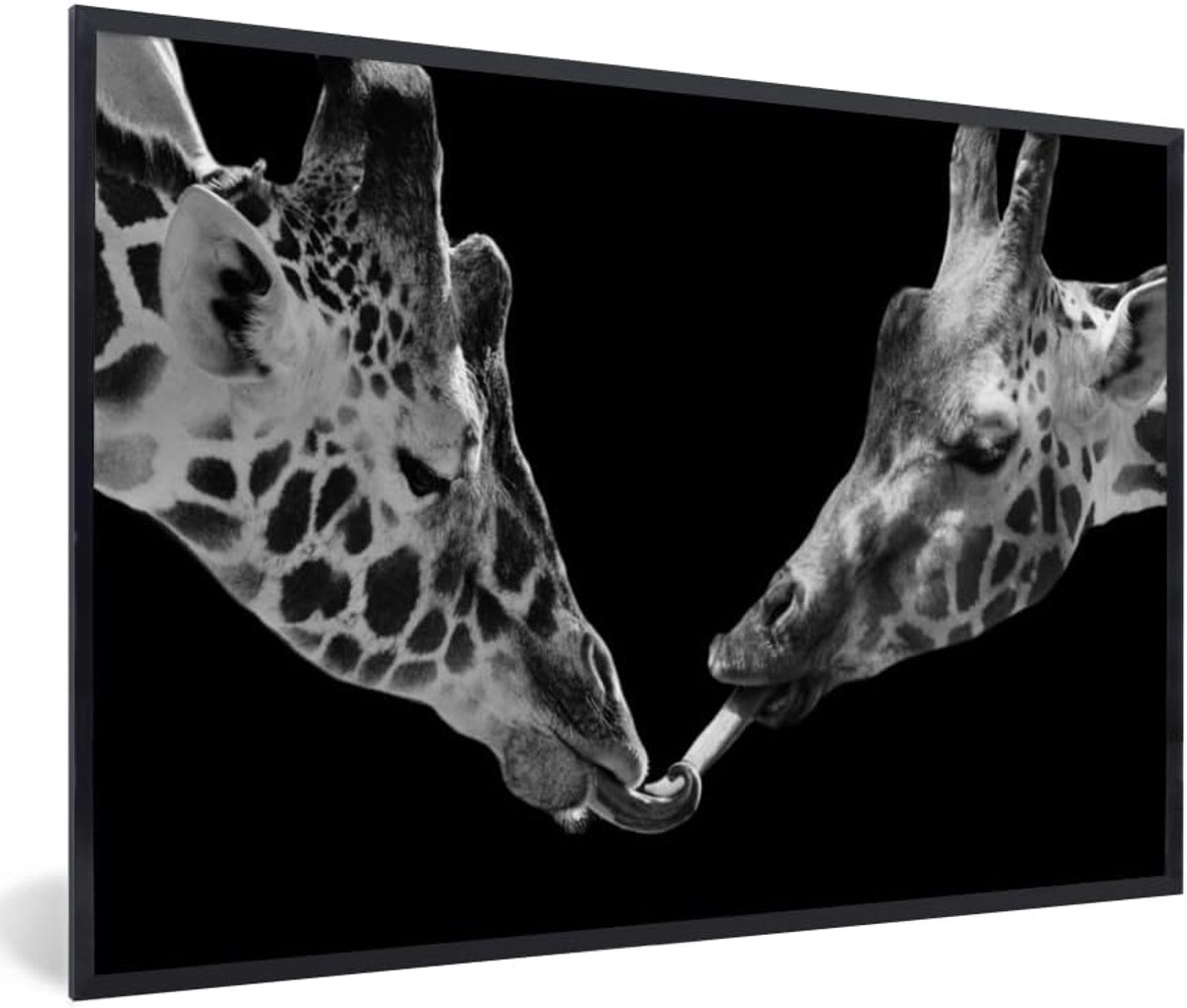 Poster met Lijst - 120x80 cm - Dieren - Zwart - giraffe - Wit - Portret