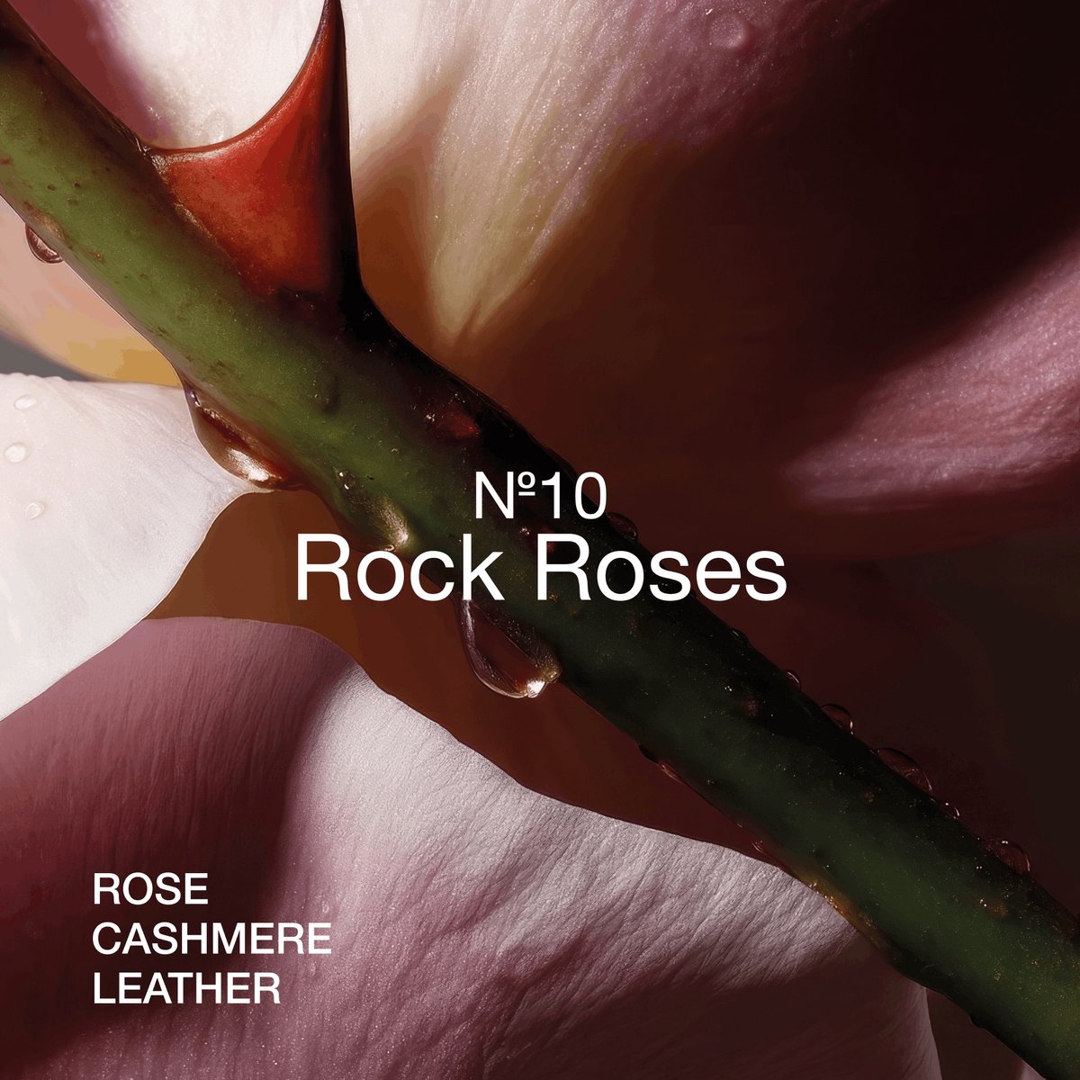Rock Roses Geurstokjes 110ml van Marie-Stella-Maris — cadeau in Wonen & Interieur - foto 4