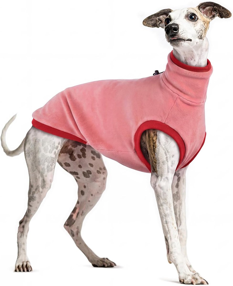 Windhond fleece trui, Whippet pyjama Whippet fleece jas Italiaanse windhond kleding hondentrui coltrui (rood, XS)