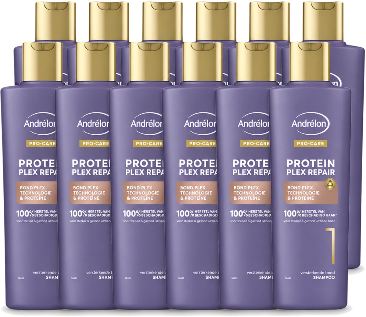 12 x Andrélon – Shampoo – Pro Care Protein Plex Repair – 250 ml - Voordeelverpakking - 12 stuks