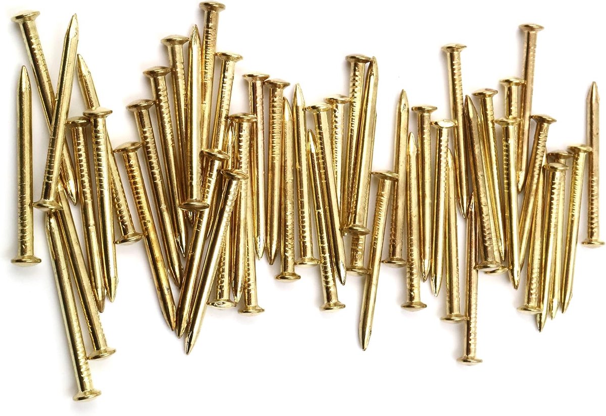 50x stalen pennen stalen spijkers plint pennen nagel 2,5 x 40 mm lenskop messing