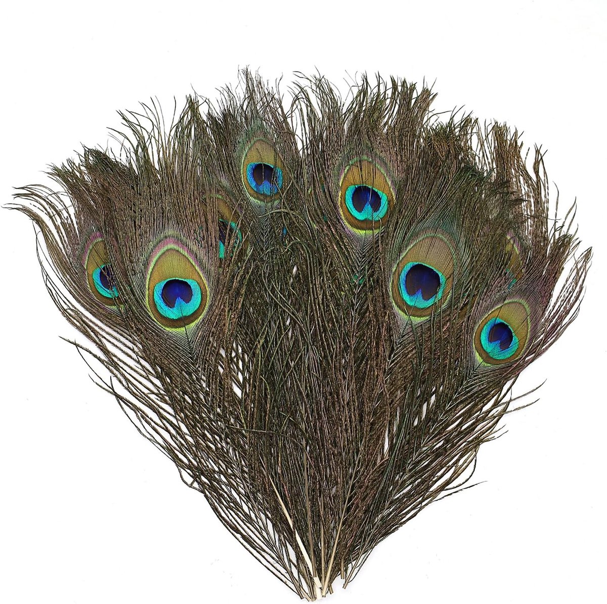 Veren, pauwenveren, decoratie, 25 cm lang, pauwenveren om te knutselen, kunnen worden gebruikt voor het versieren van bloemenvazen, sfeerbenodigdheden van