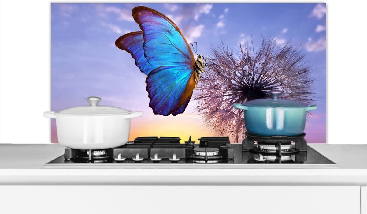 Spatscherm Keuken - 100x50 cm - Vlinder - Zonsondergang - Paardebloem - Blauw