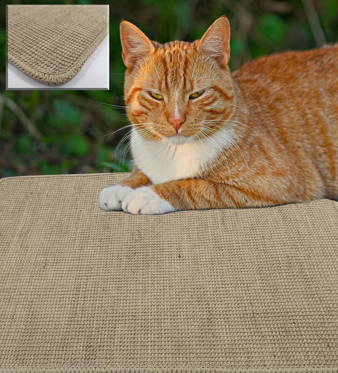 Krabmat voor grote en kleine katten, natuurlijk, ter bescherming van je meubels en textiel, slijpt nagels zonder je huis te beschadigen, 50 x 100 cm