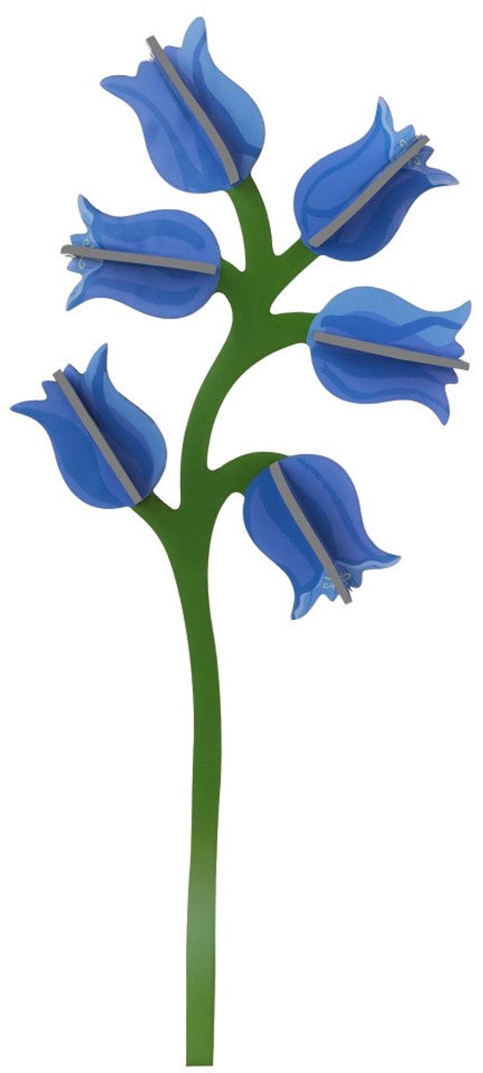 Bloem - Campanula