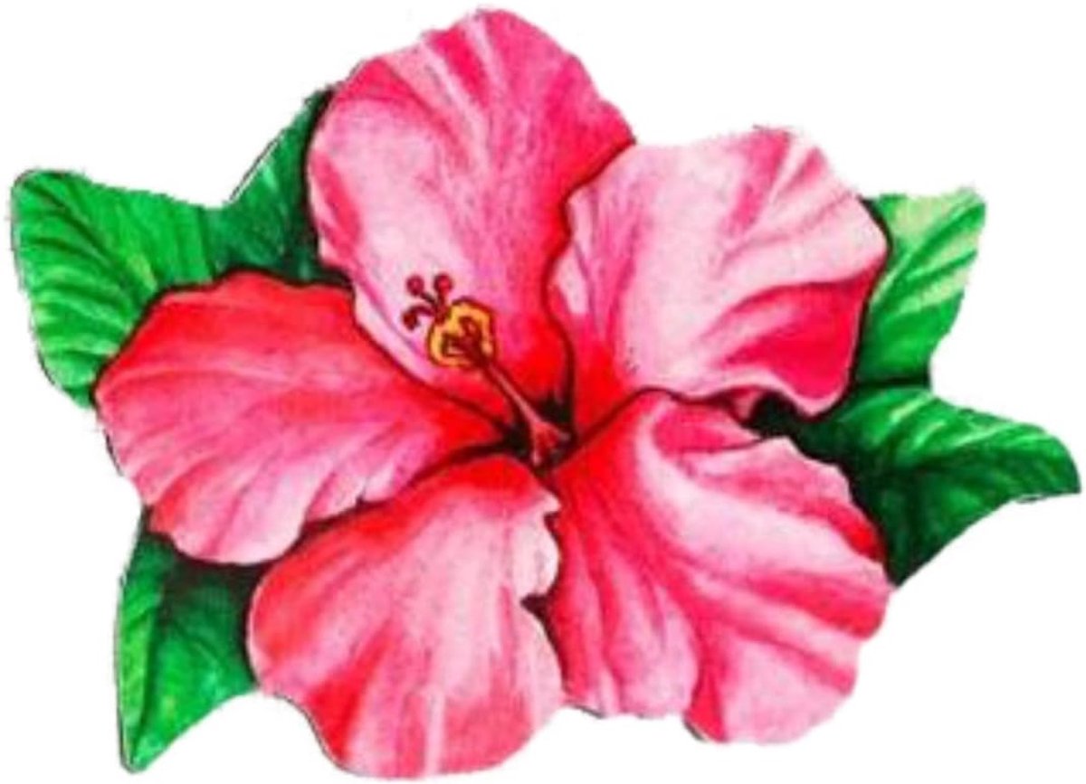 - Gemaakt in de USA - Zorg Ervoor dat Mensen en Huisdieren Niet Tegen Hordeuren Aanlopen en Kleine Gaten Opplakken - Hibiscus - 10 x 12.7 cm - 2 Stuk (1 paar)
