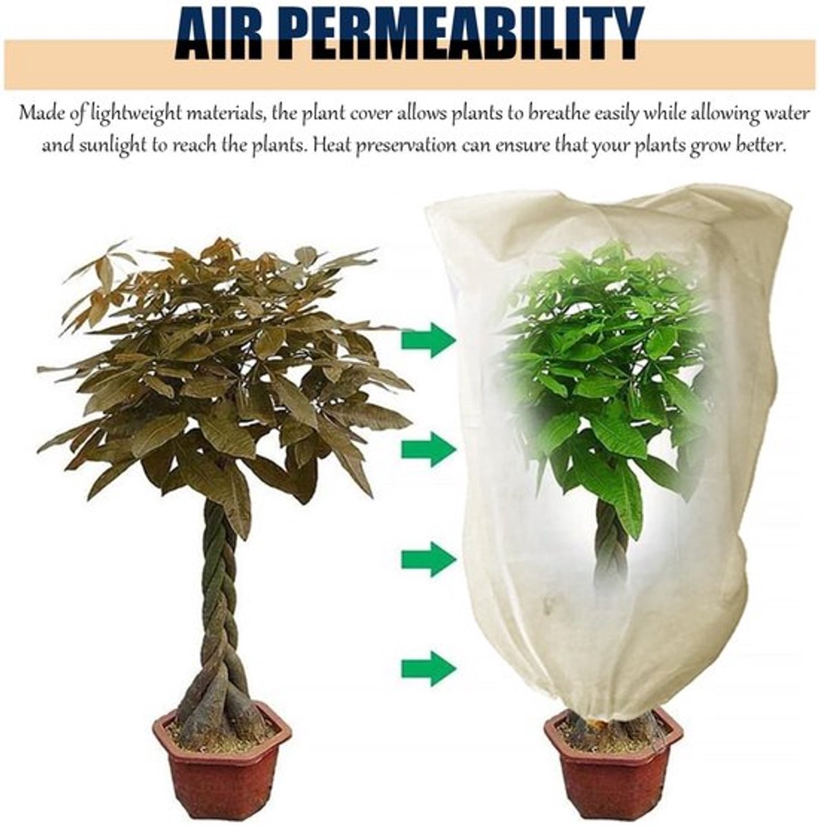 Dailygoody - Plantenbeschermdoppen - Winterbescherming - Bescherm je planten tegen