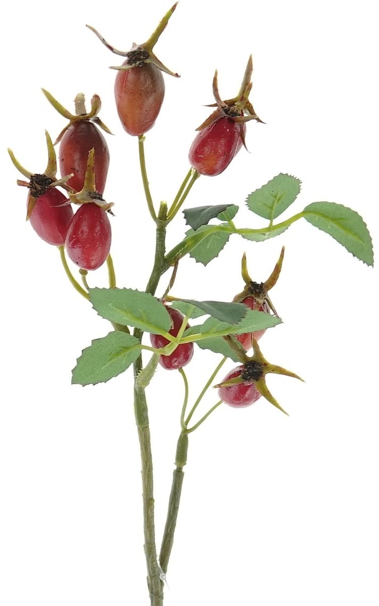 Gasper rozenbottel-tak oranje-rood met groen blad 24 cm kunstbloemen