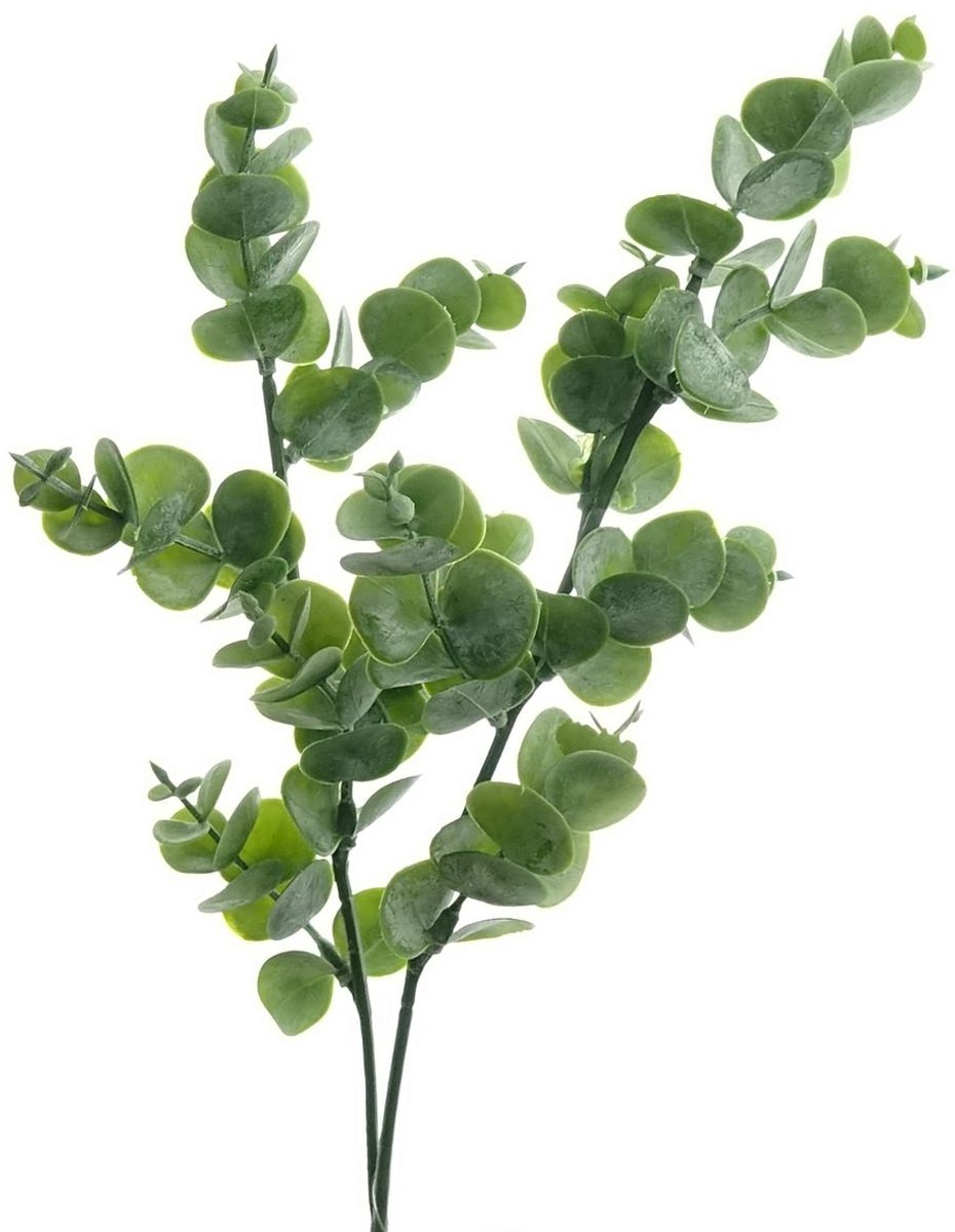 Deko Florale Sperling Deko Florale eucalyptus tak 47 cm kunstbloemen Meerkleurig