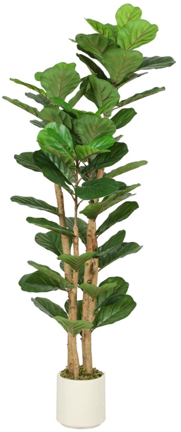 ZYLARO Kunstmatige vioolbladvijgenboom - 71 bladeren - Massief houten stam - Inclusief pot - 50 x 50 x 150 cm - Groen
