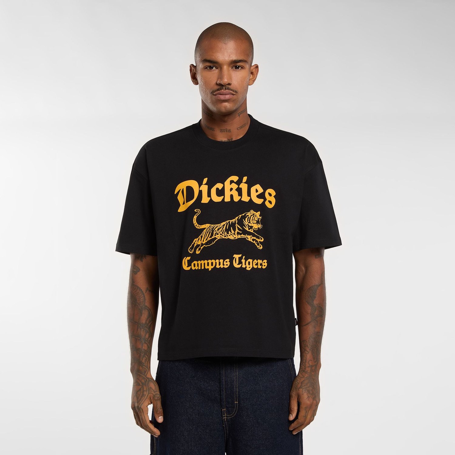 Dickies Apalachicolsa T-shirt Zwart