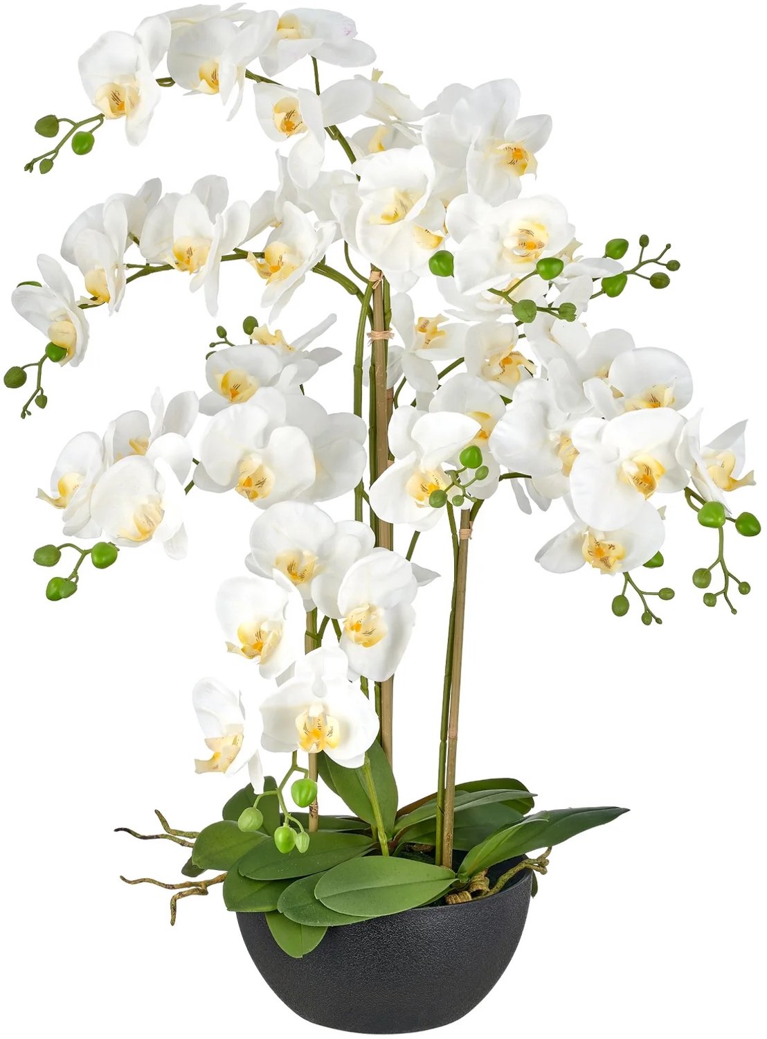 KOPU® Kunstorchidee 80 cm - Wit - Zwarte schaal - Phalaenopsis