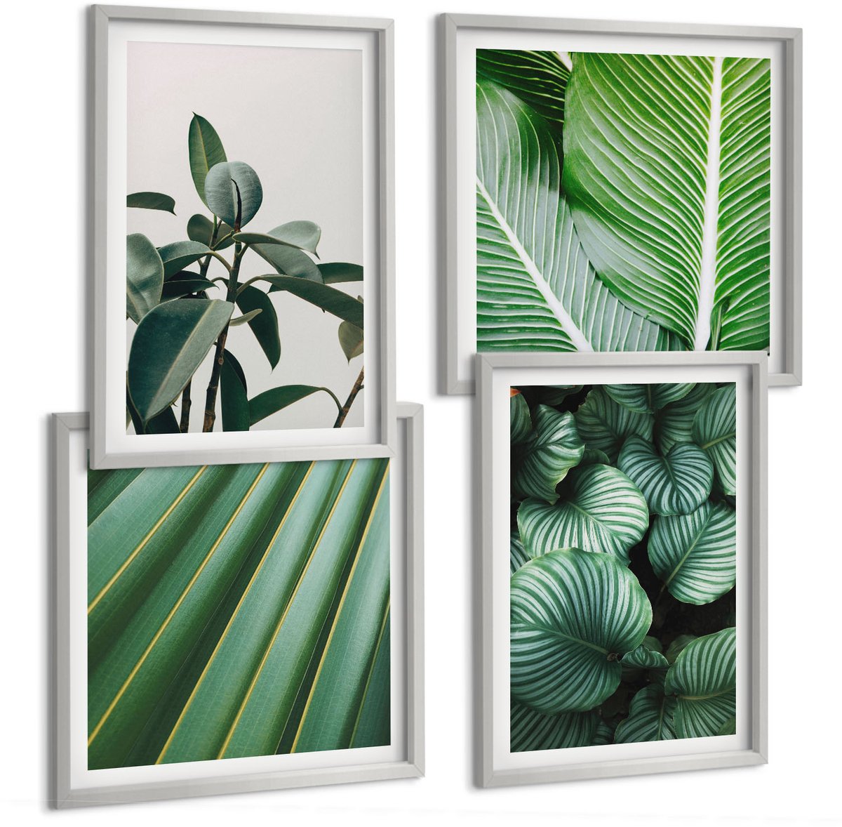 Coloray 4-Delige Schilderij Set - Esthetische Tropische Bladeren In Diverse Groene Tinten - 40 x 40 cm En 40 x 60 cm - Decoratieve Schilderijen - Woonkamer - Interieur - Muurdecoratie