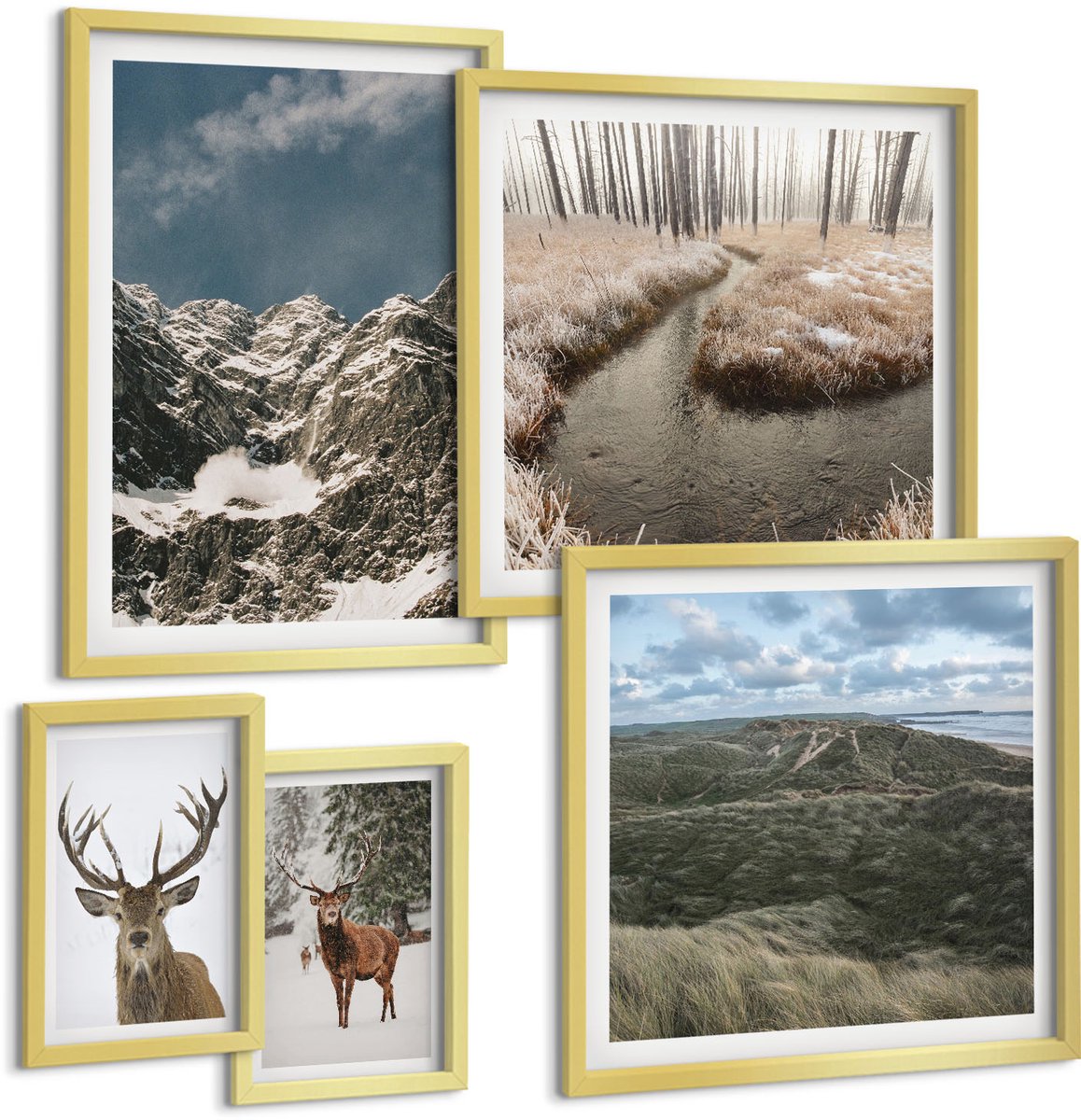Coloray 5-Delige Schilderij Set - Wilde Natuur En Majestueuze Berglandschappen - 50 x 50 cm, 20 x 30 cm En 40 x 60 cm - Moderne Wanddecoratie - Woonkamer