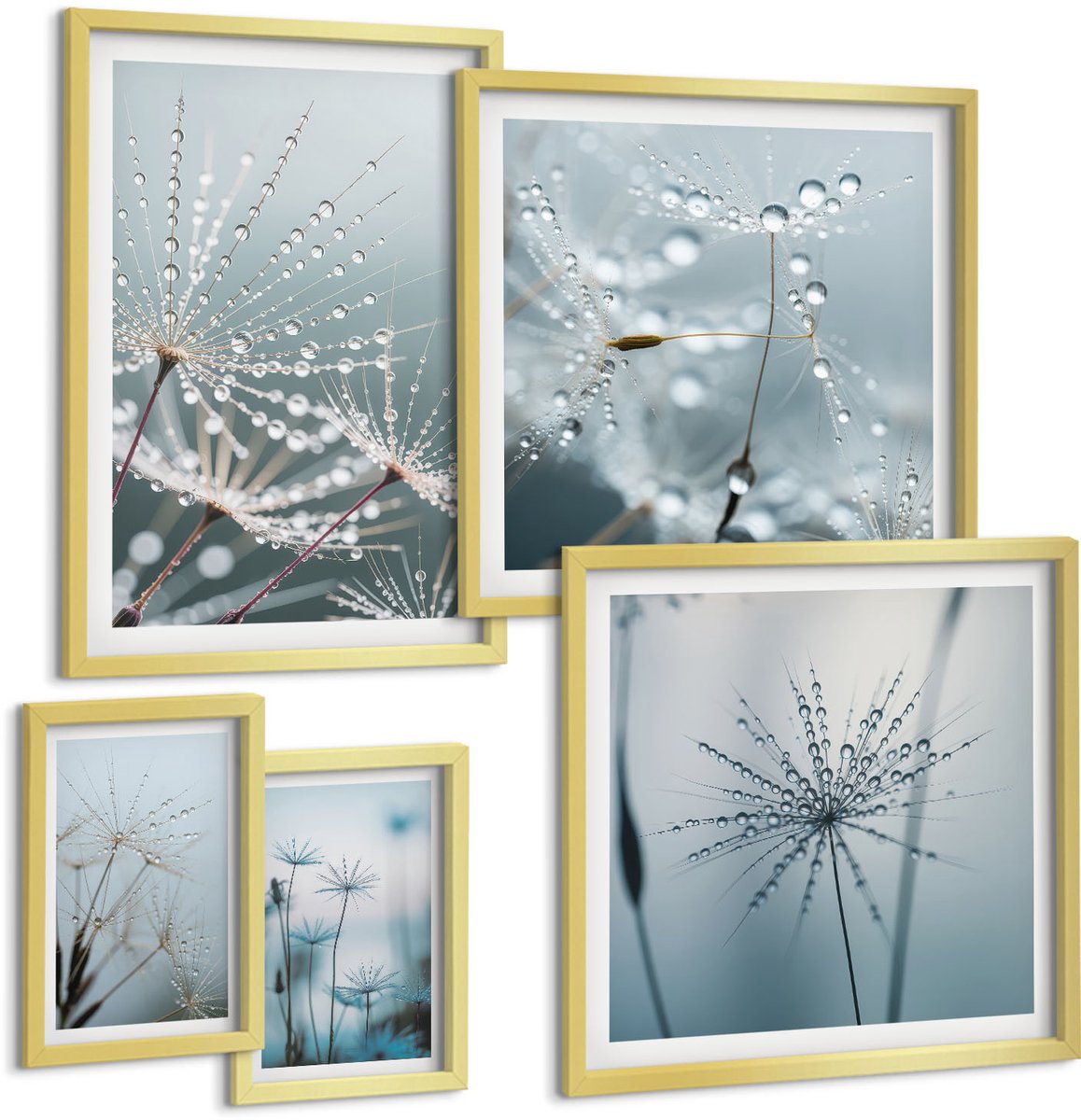 Coloray 5-Delige Schilderij Set - Waterdruppels Op Planten In Een Minimalistische Stijl - 50 x 50 cm, 20 x 30 cm En 40 x 60 cm - Stijlvolle Wanddecoratie - Interieur - Moderne Wanddecoratie