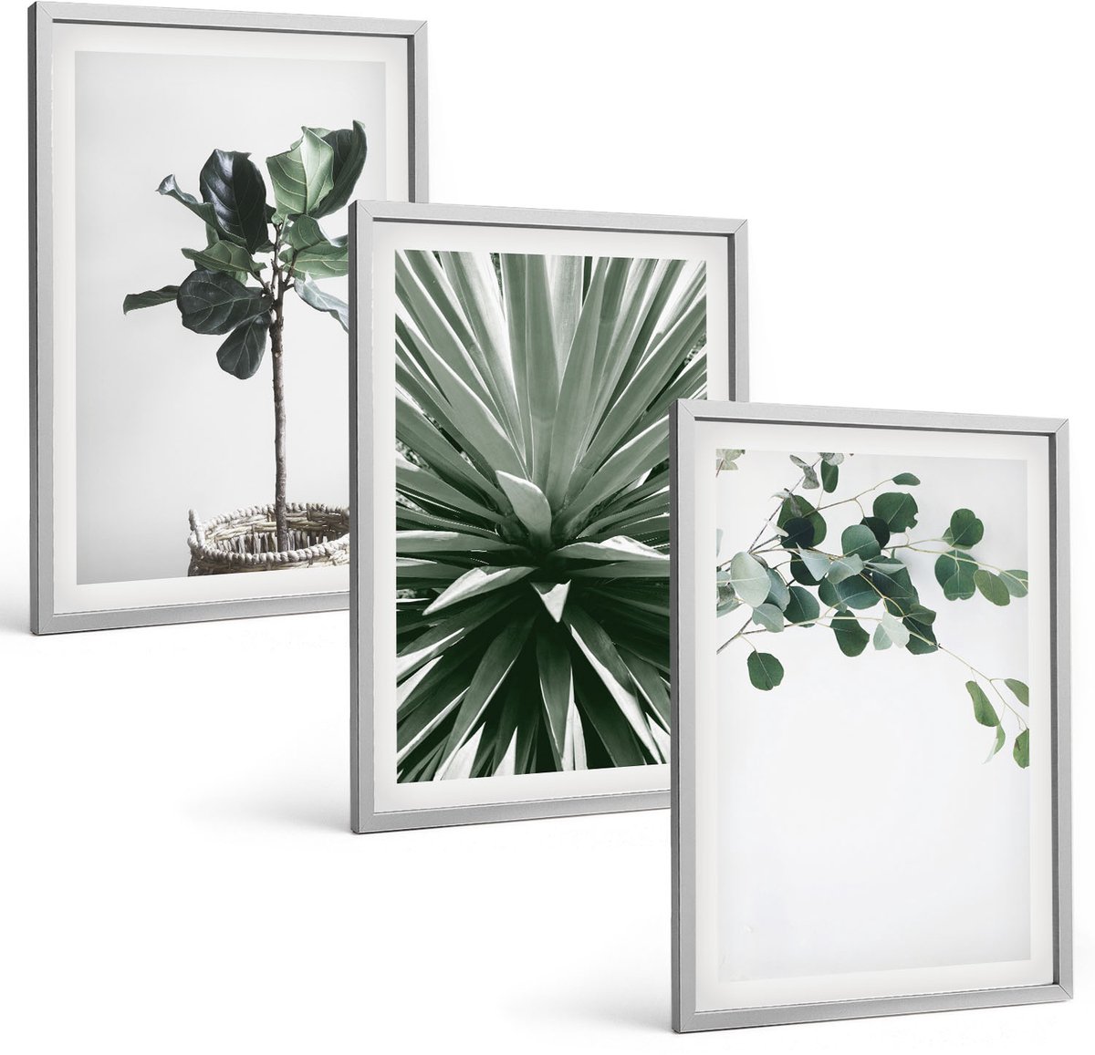 Coloray 3-Delige Schilderij Set - Groene Planten In Een Minimalistische Stijl - 40 x 60 cm - Wanddecoratie - Woonkamer Decoratie