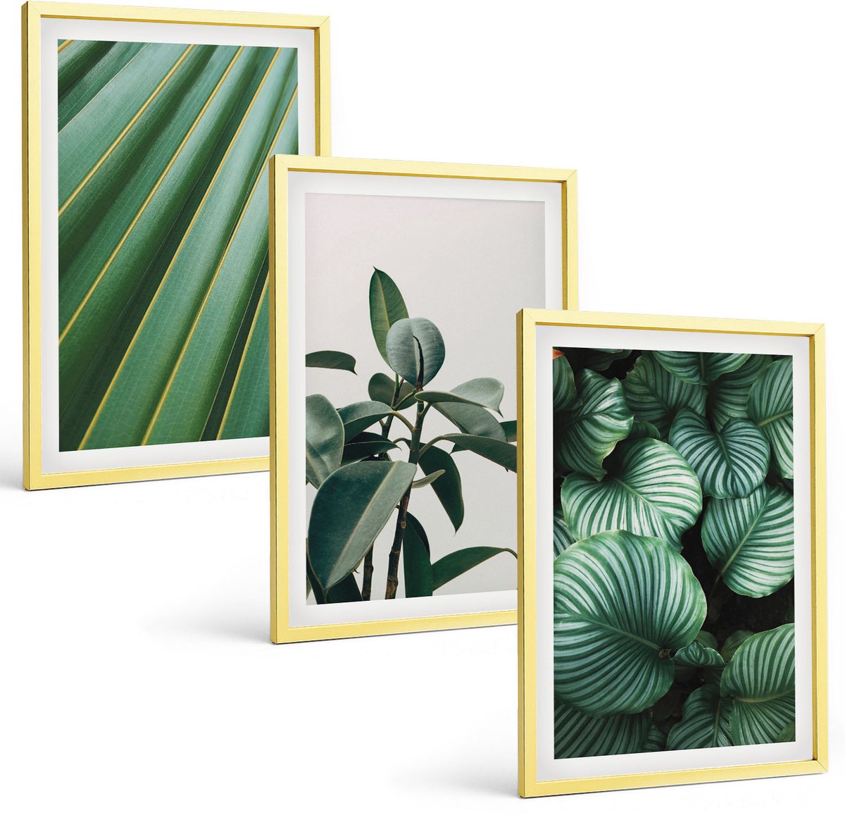 Coloray 3-Delige Schilderij Set - Esthetisch Aantrekkelijke Ginkgobladeren Op Een Lichte Achtergrond. - 40 x 40 cm En 40 x 60 cm - Stijlvolle Muurdecoratie - Kantoor - Wanddecoratie