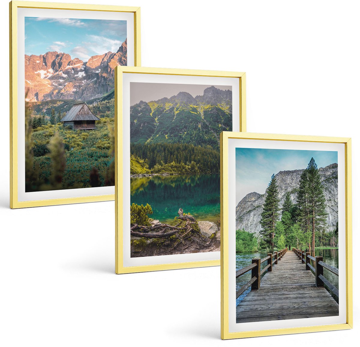 Coloray 3-Delige Schilderij Set - Tropische Planten En Kleurrijke Vogels In De Natuur - 40 x 40 cm En 40 x 60 cm - Schilderijen Set - Wanddecoratie - Woonkamer - Decoratieve Schilderijen