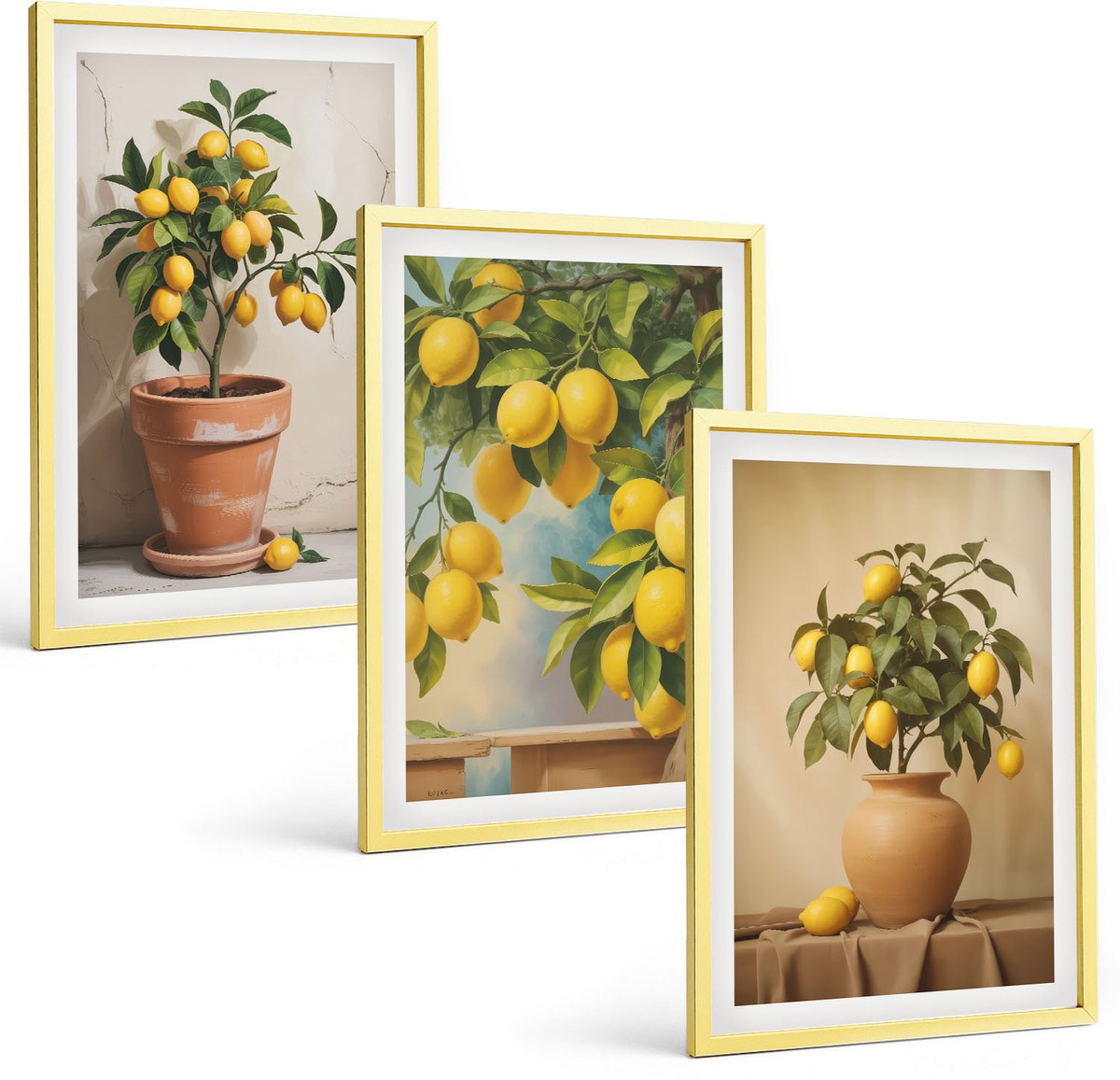 Coloray 3-Delige Schilderij Set - Tuin Met Citrusbomen Op Een Zonnige Locatie - 40 x 40 cm En 40 x 60 cm - Wanddecoratie - Muurdecoratie - Woonkamer - Stijlvolle Muurdecoratie